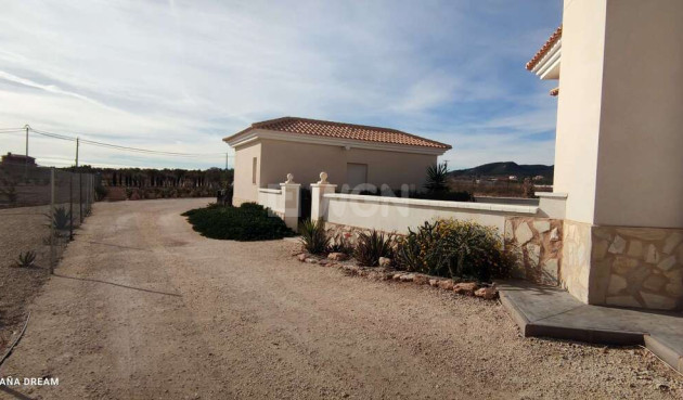 Resale - Villa - Pinoso - Inland