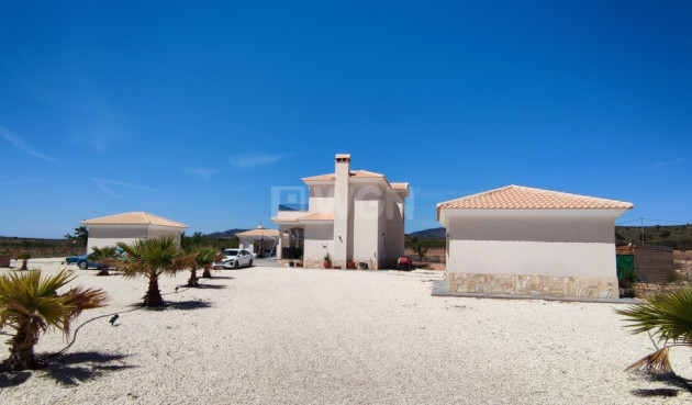 Resale - Villa - Pinoso - Inland