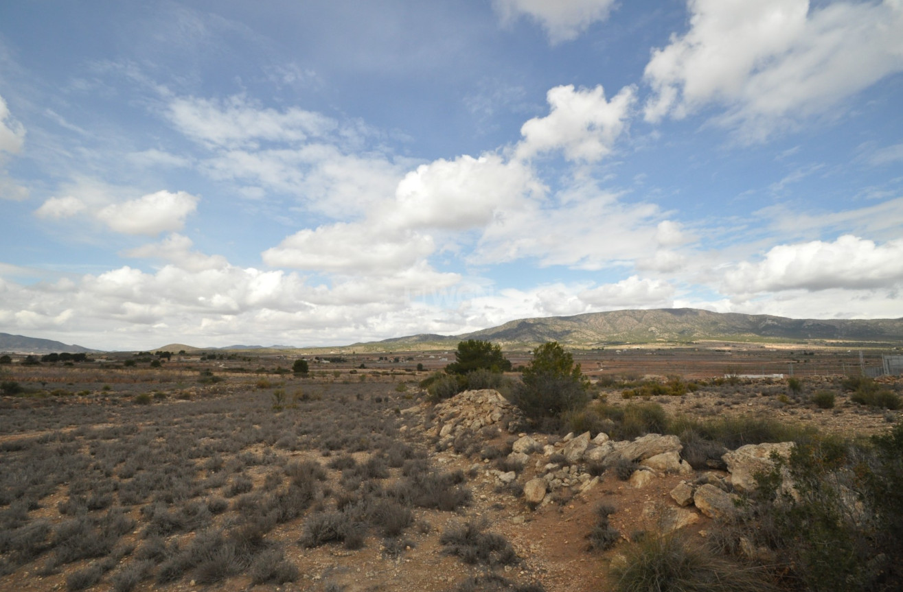 Reventa - Land - Pinoso - Inland