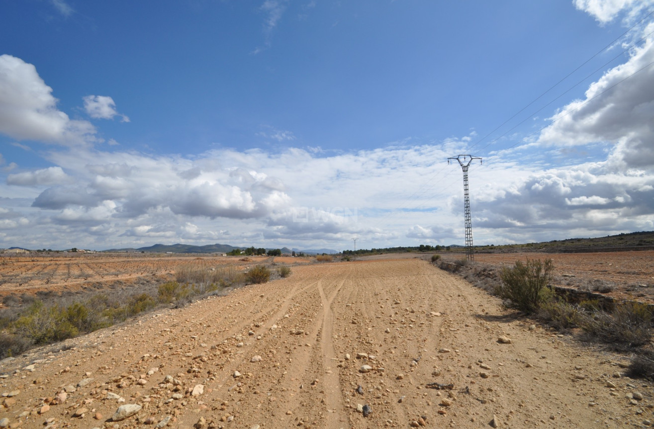 Reventa - Land - Pinoso - Inland