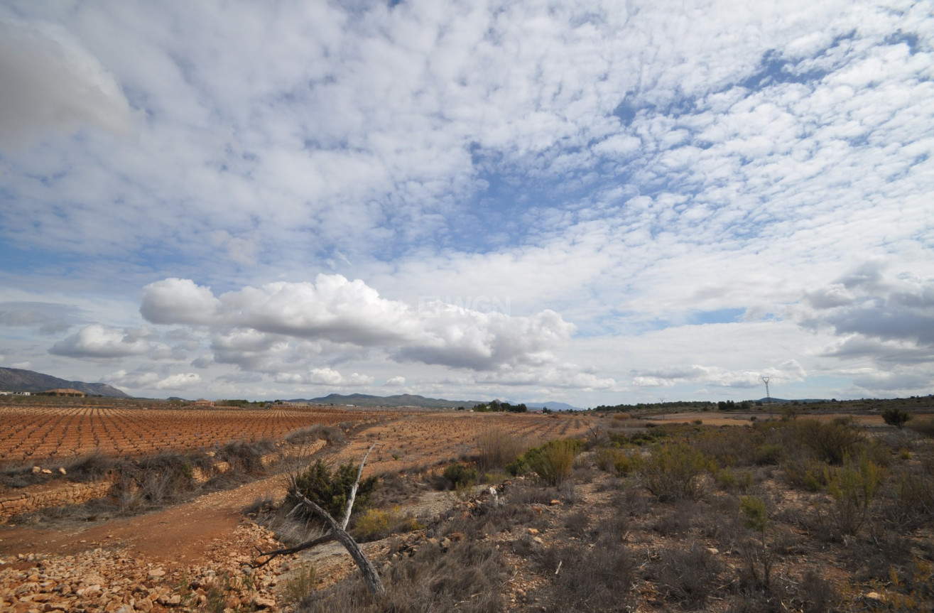 Reventa - Land - Pinoso - Inland