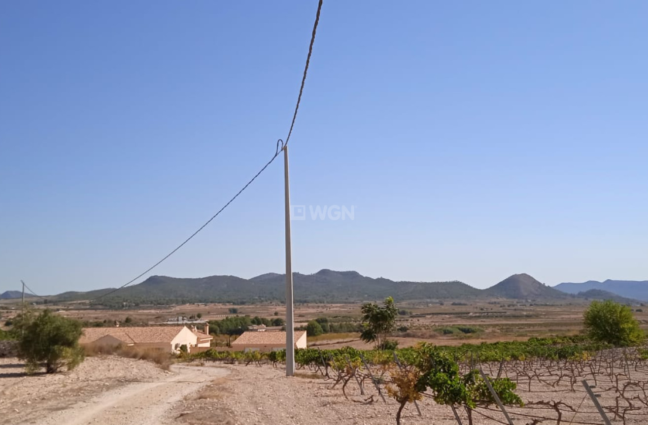 Resale - Land - Pinoso - Inland