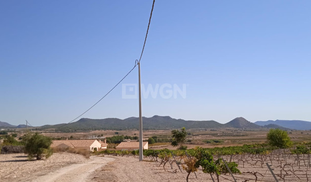 Resale - Land - Pinoso - Inland