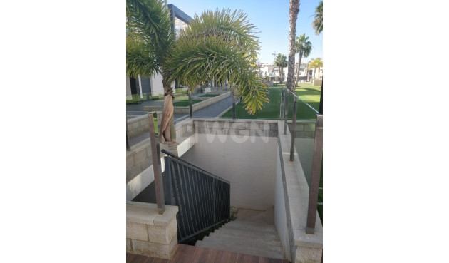 Resale - Apartment / flat - Guardamar del Segura - Costa Blanca