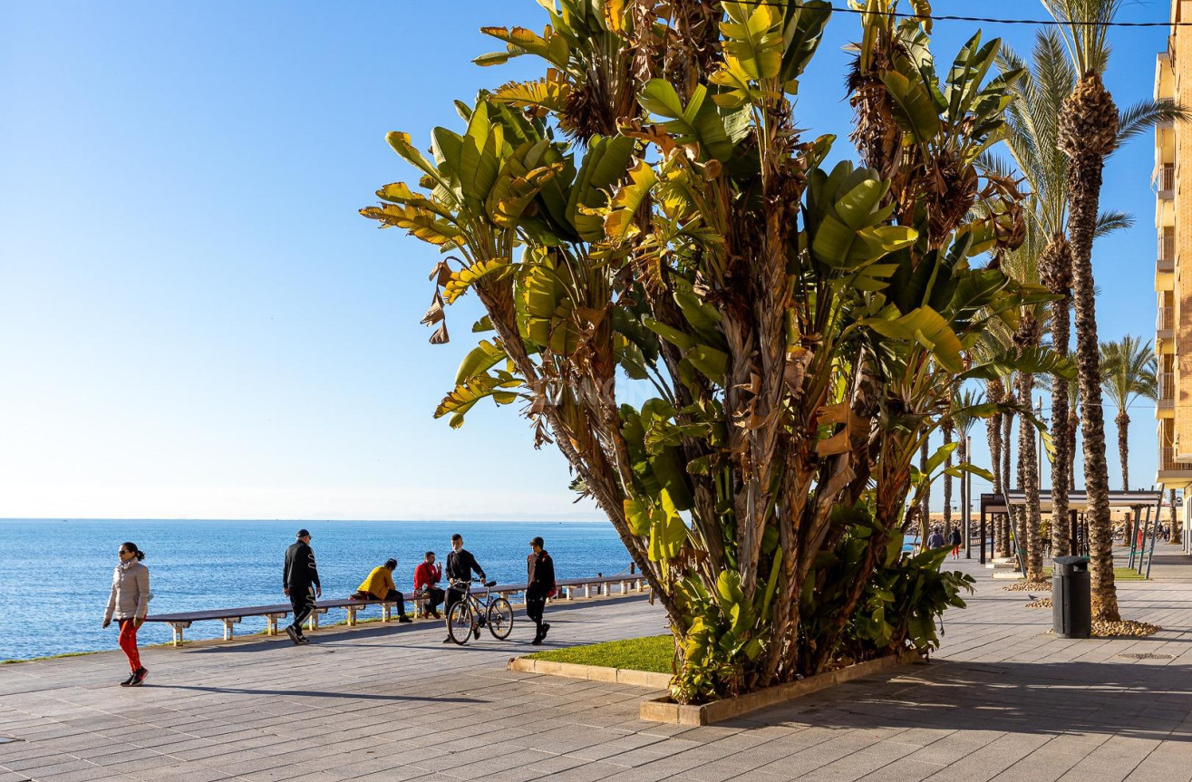 Odsprzedaż - Mieszkanie w bloku - Torrevieja - Playa del Cura