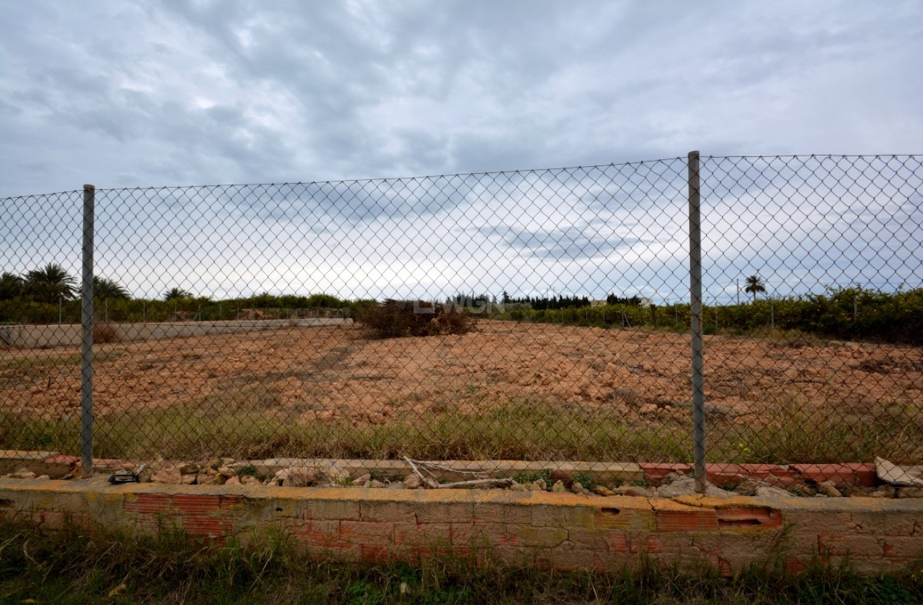 Odsprzedaż - Land - Guardamar del Segura - Costa Blanca