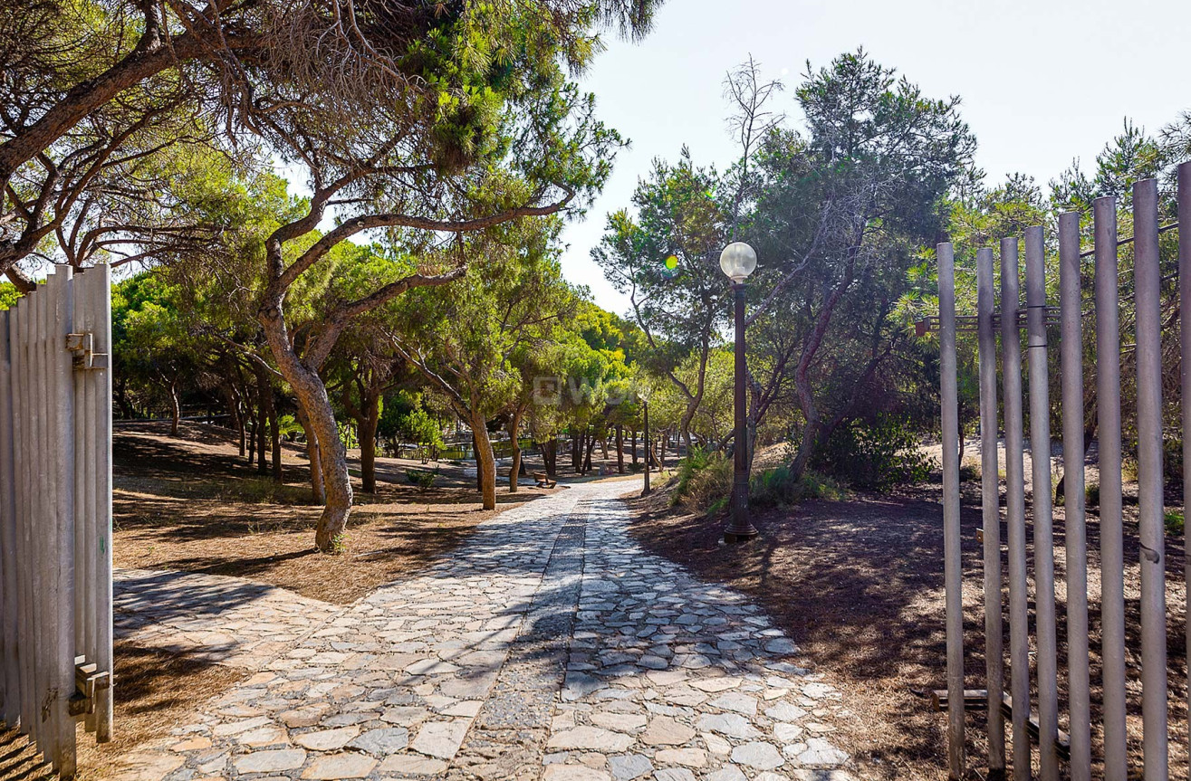 Odsprzedaż - Mieszkanie w bloku - Guardamar del Segura - Costa Blanca