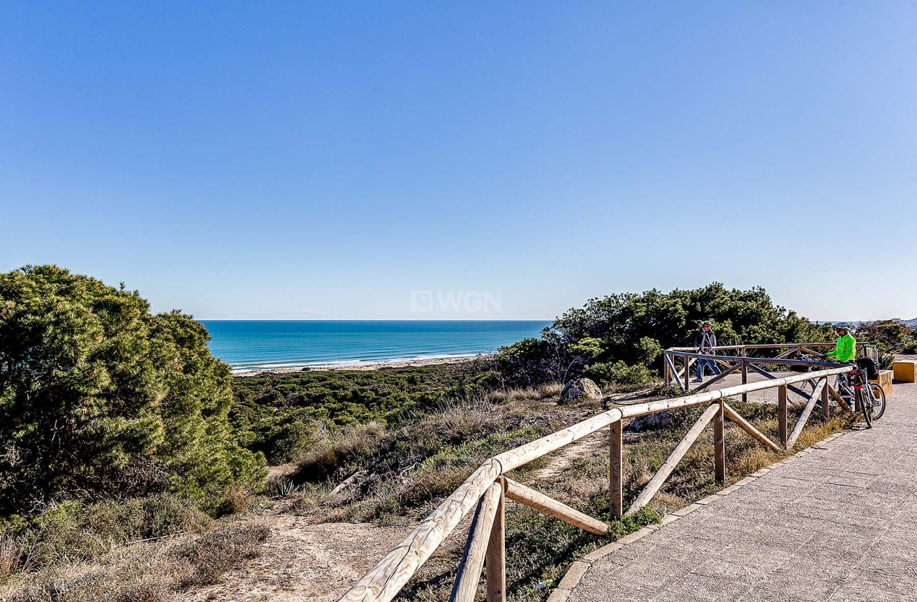 Odsprzedaż - Mieszkanie w bloku - Guardamar del Segura - Costa Blanca