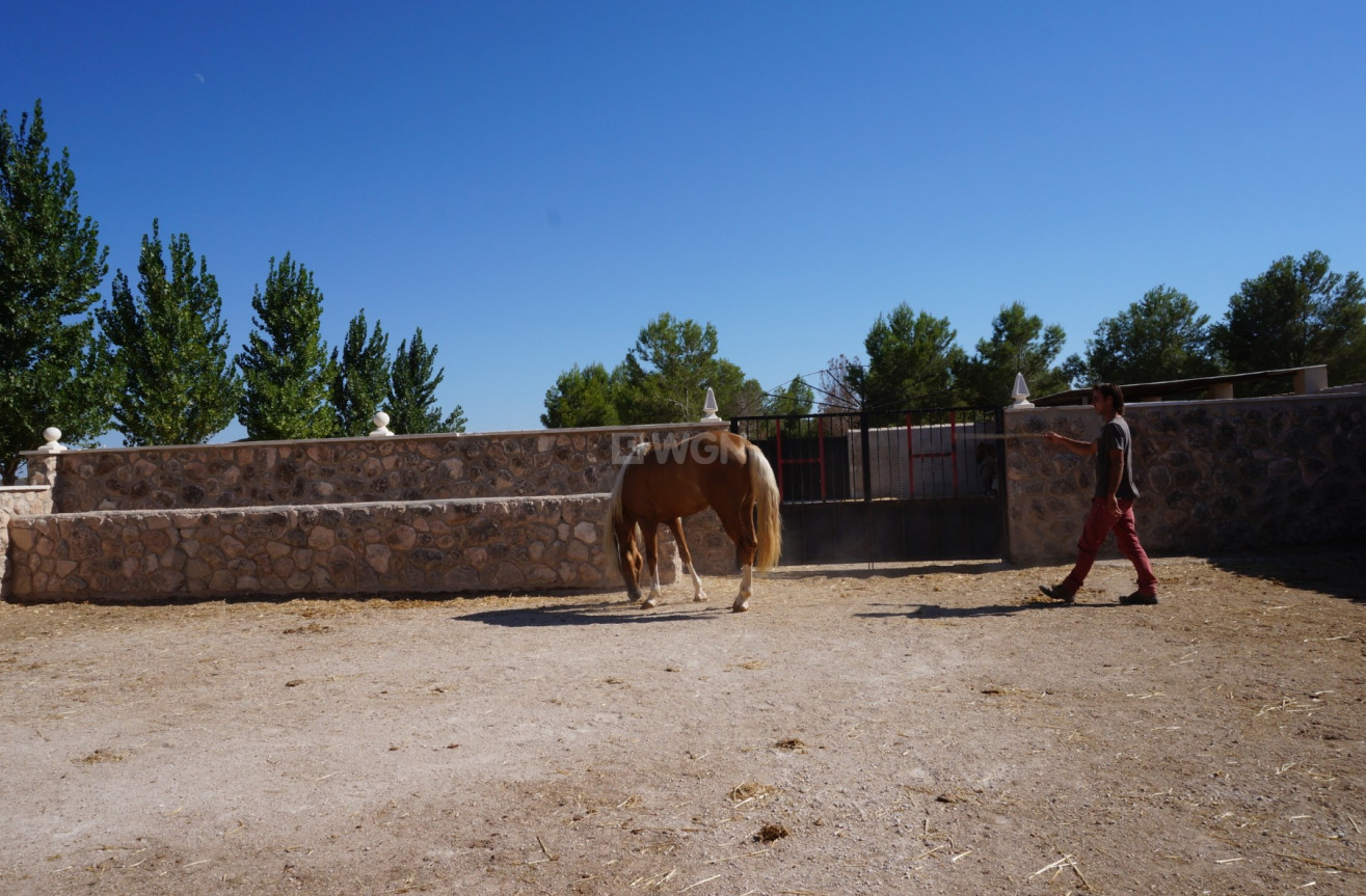 Reventa - Land - Yecla - Inland