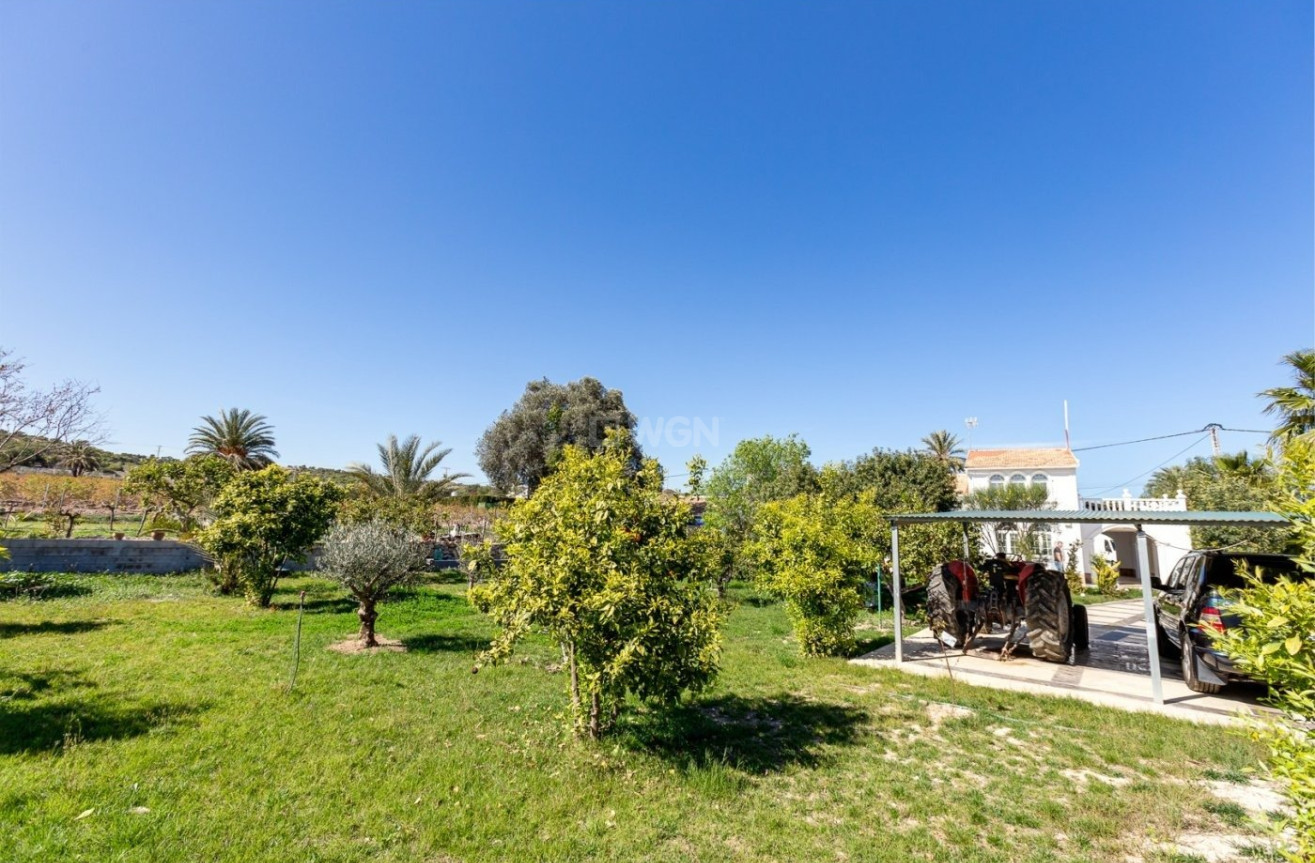 Odsprzedaż - Villa - La Marina - Alicante