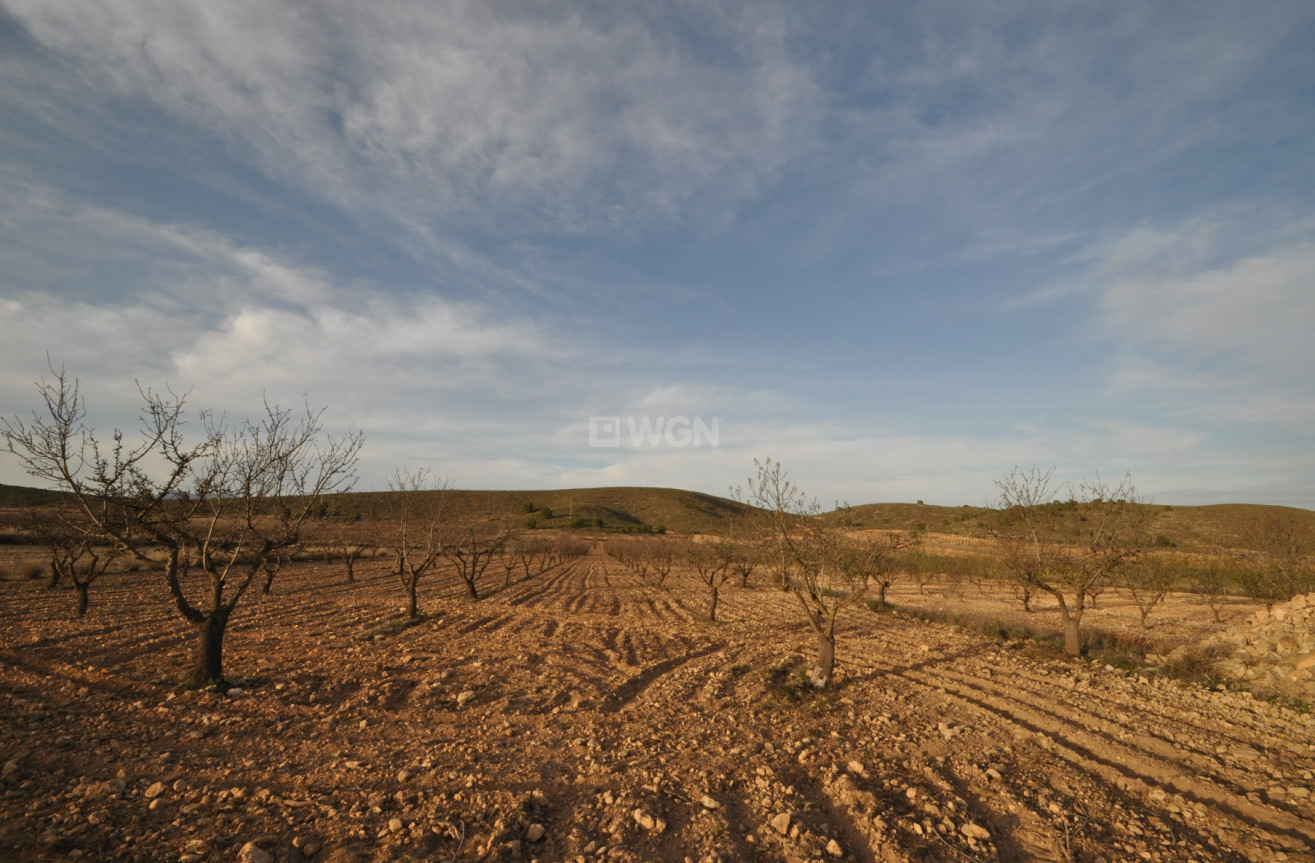 Reventa - Land - Abanilla - Inland