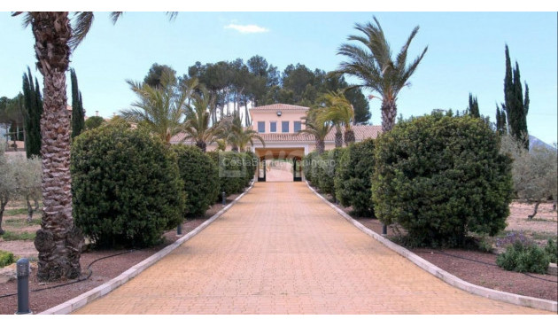 Resale - Villa - Penaguila - Inland