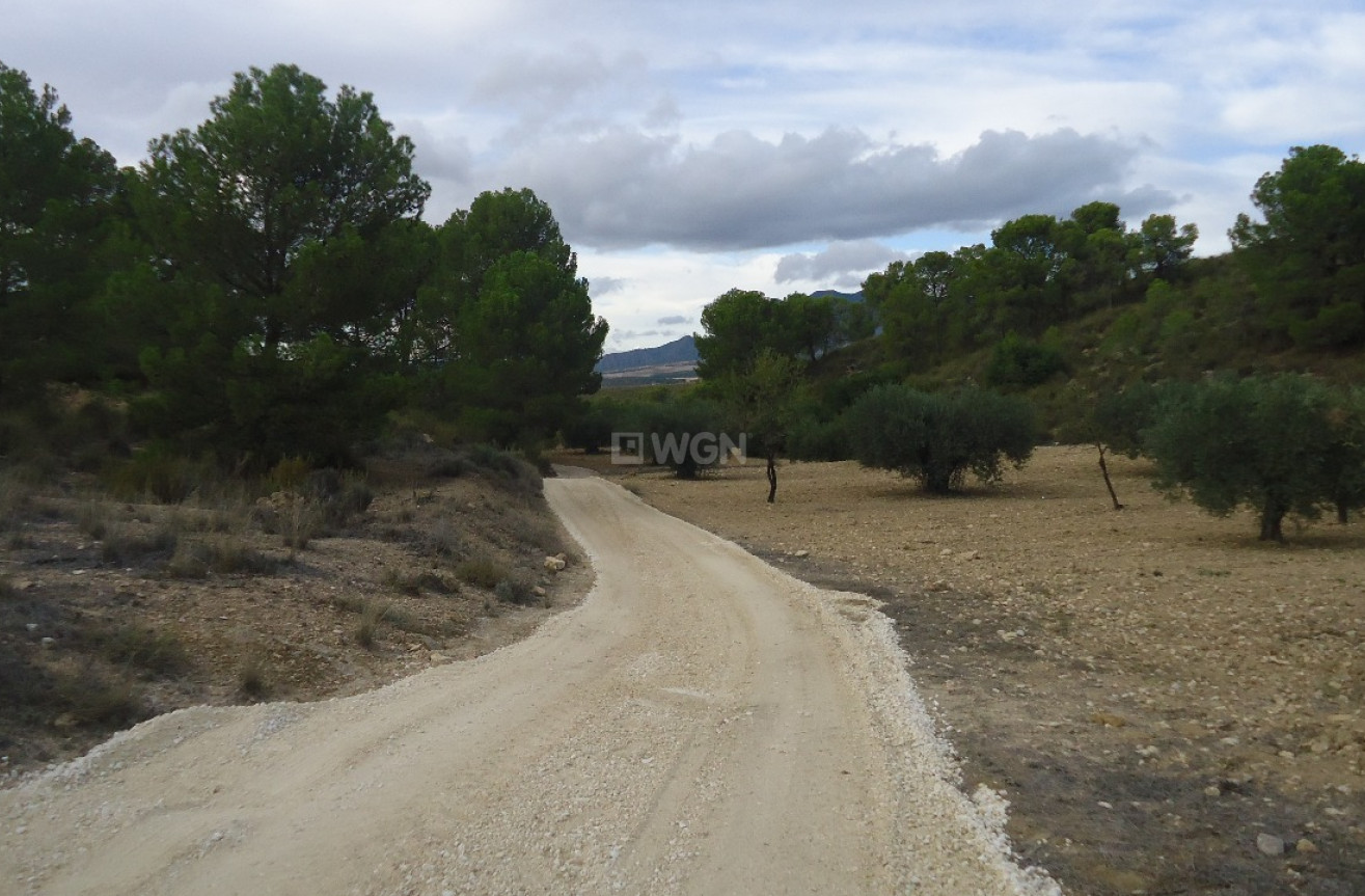 Reventa - Land - La Zarza - Inland