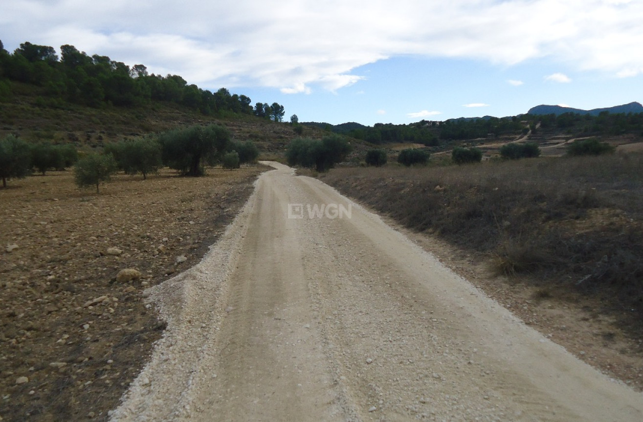 Resale - Land - La Zarza - Inland