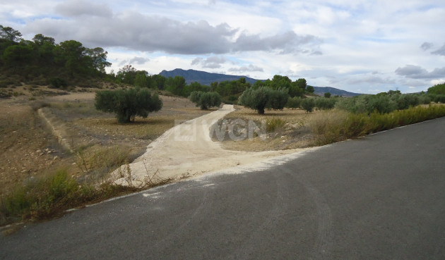 Resale - Land - La Zarza - Inland