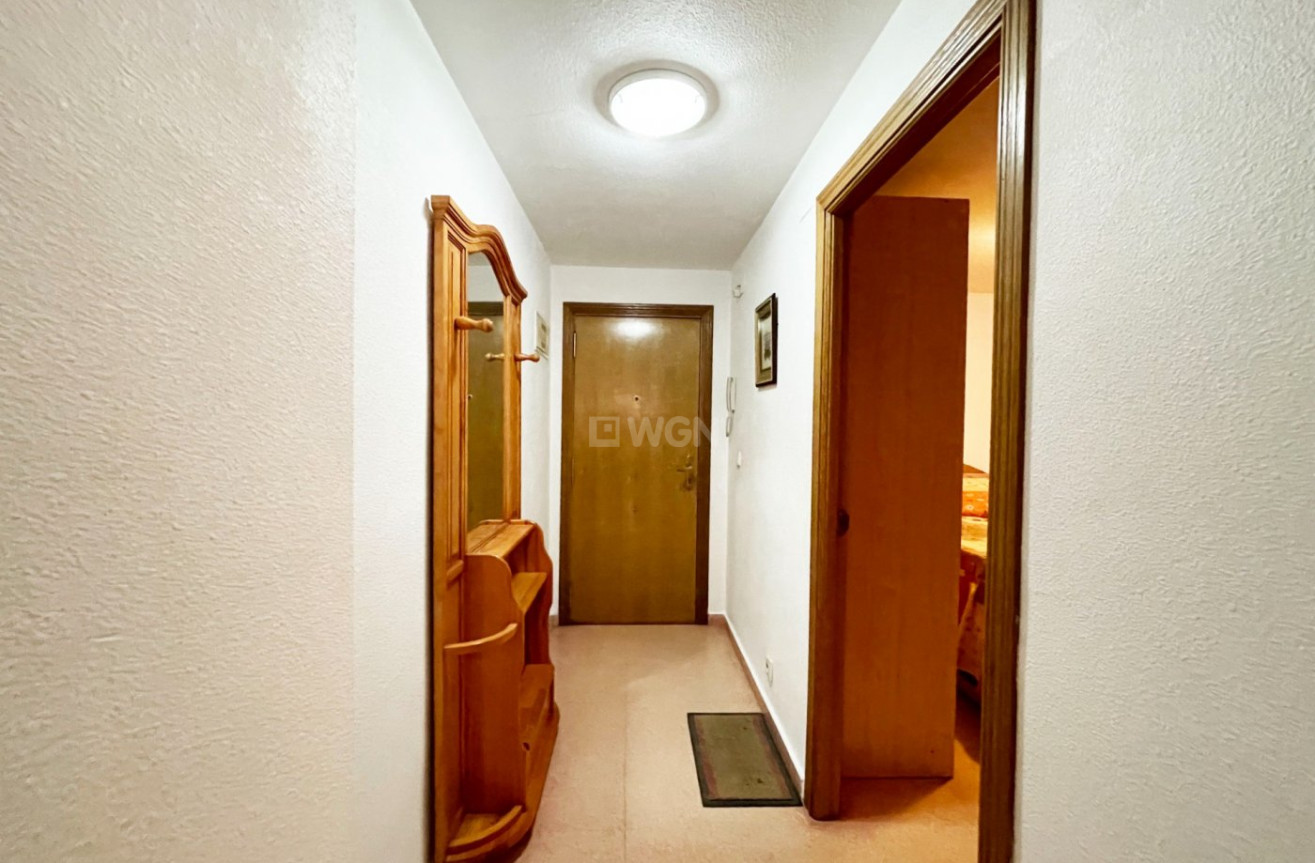 Reventa - Apartamento / piso - Guardamar del Segura - Playa