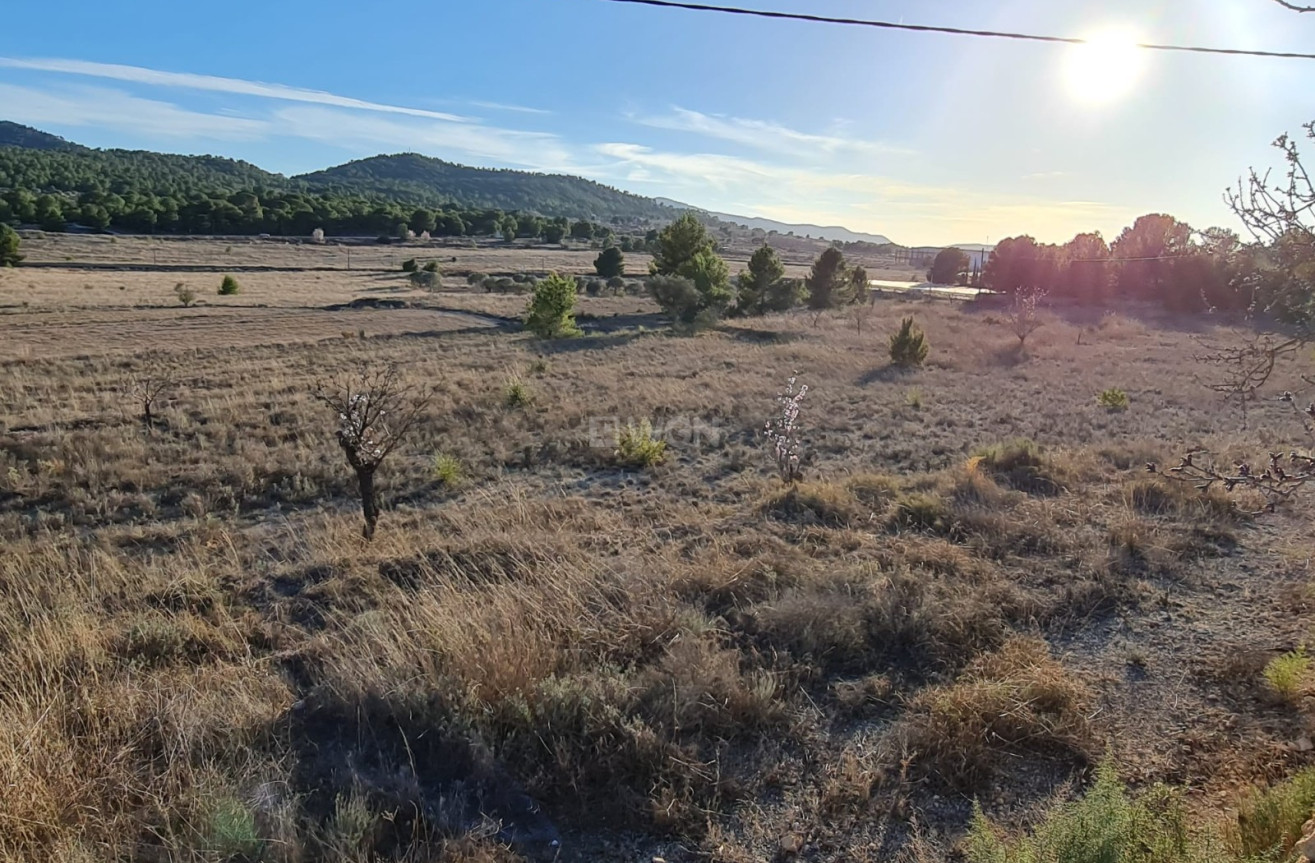 Resale - Land - Monóvar/Monóver - Inland