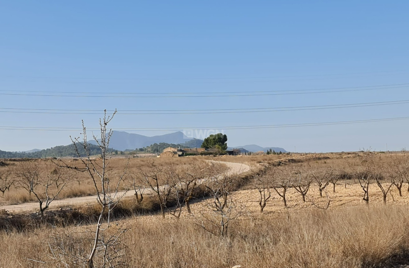 Odsprzedaż - Land - Jumilla - Inland