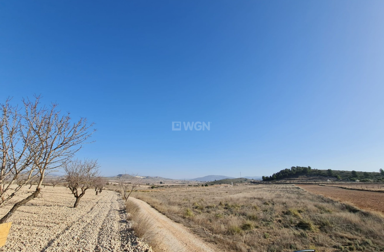 Odsprzedaż - Land - Jumilla - Inland