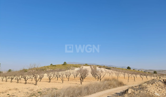 Odsprzedaż - Land - Jumilla - Inland