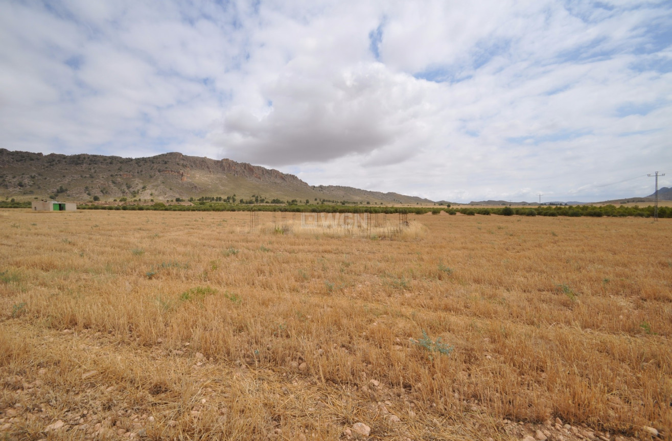 Reventa - Land - Yecla - Inland