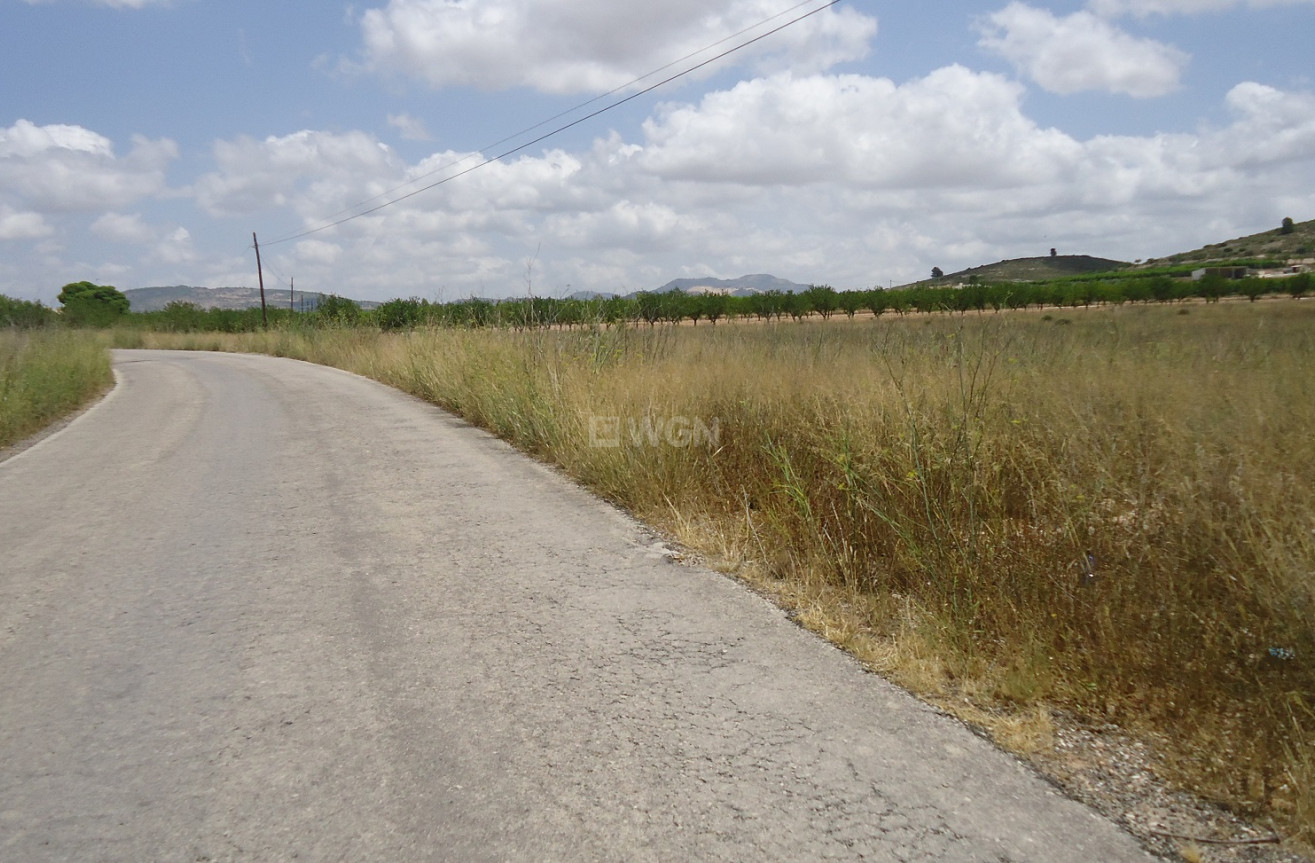 Odsprzedaż - Land - Jumilla - Inland