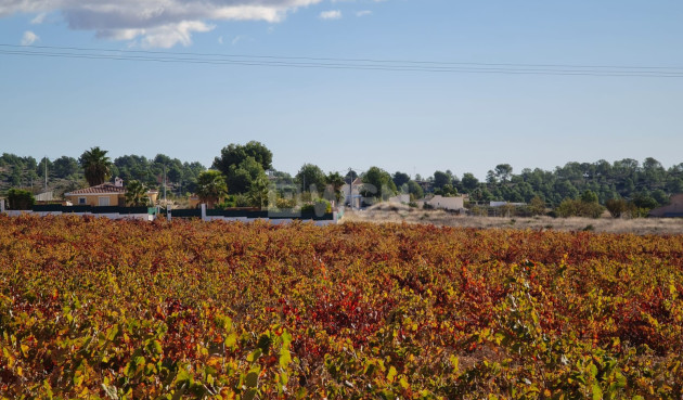 Reventa - Land - La Romana - Inland