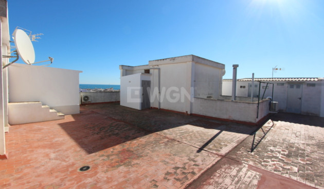 Resale - Apartment / flat - Guardamar del Segura - Costa Blanca