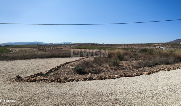 Resale - Villa - Pinoso - Inland