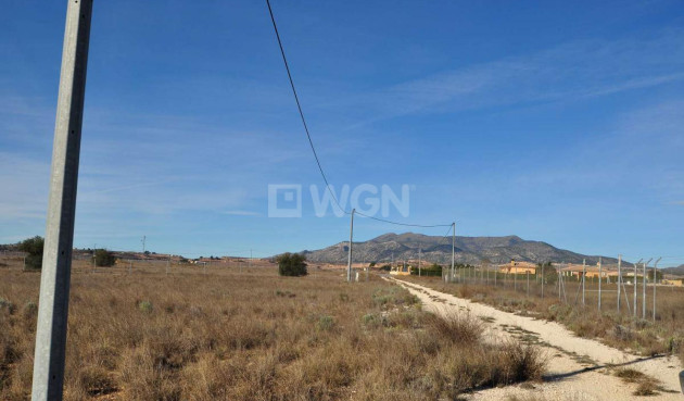 Resale - Land - Pinoso - Inland