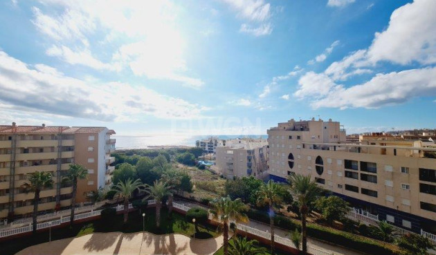 Reventa - Apartamento / piso - La Mata - Costa Blanca