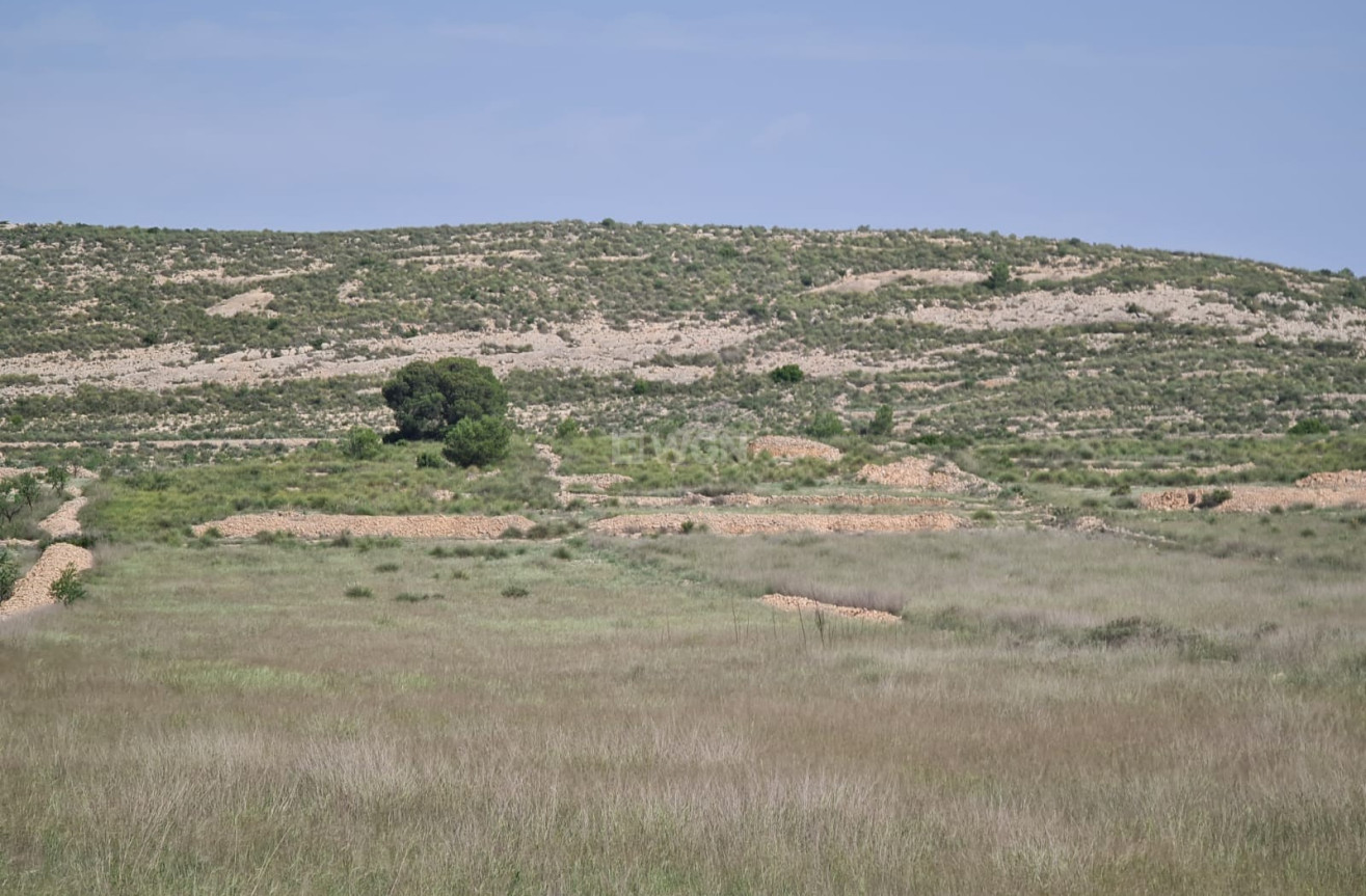 Odsprzedaż - Land - Jumilla - Inland