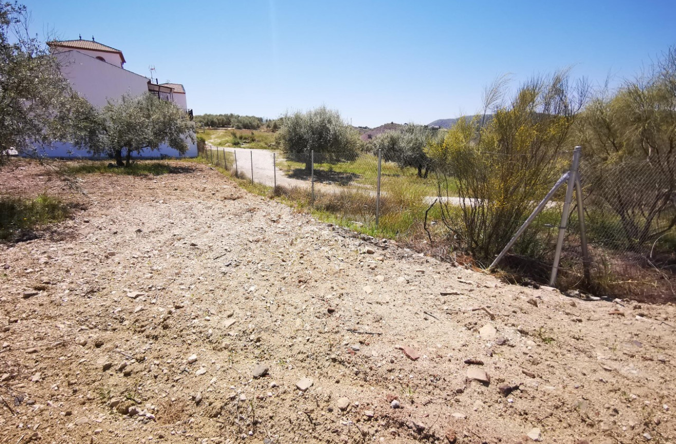 Resale - Land - Vinuela - Inland