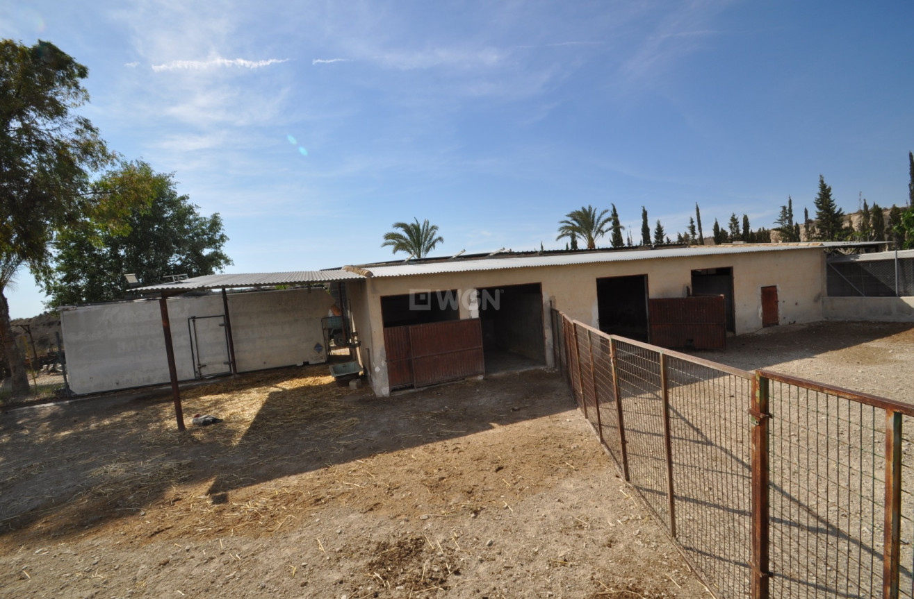 Resale - Commercial - Abanilla - Inland