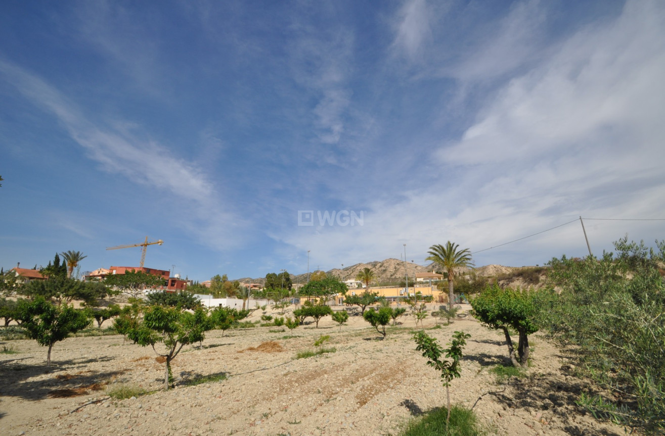 Resale - Commercial - Abanilla - Inland