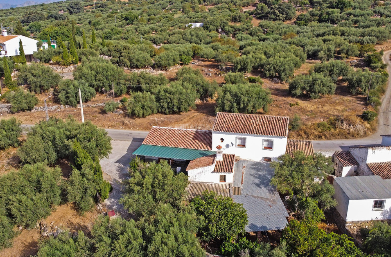 Resale - Villa - Periana - Inland