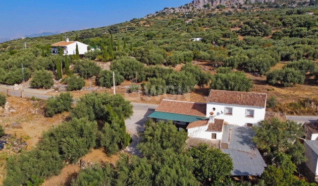 Reventa - Villa - Periana - Inland