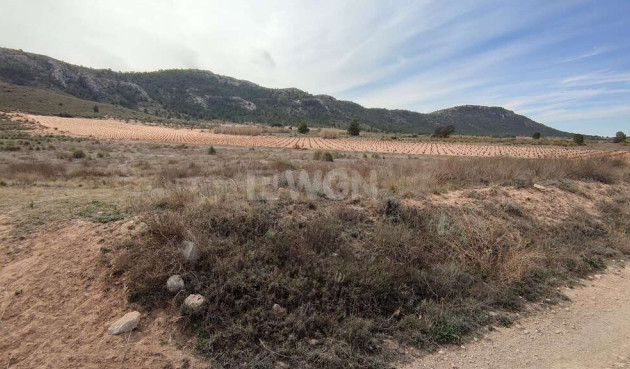 Resale - Land - Villena - Inland