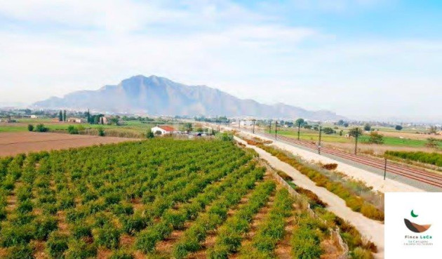 Reventa - Finca - Callosa de Segura - Inland