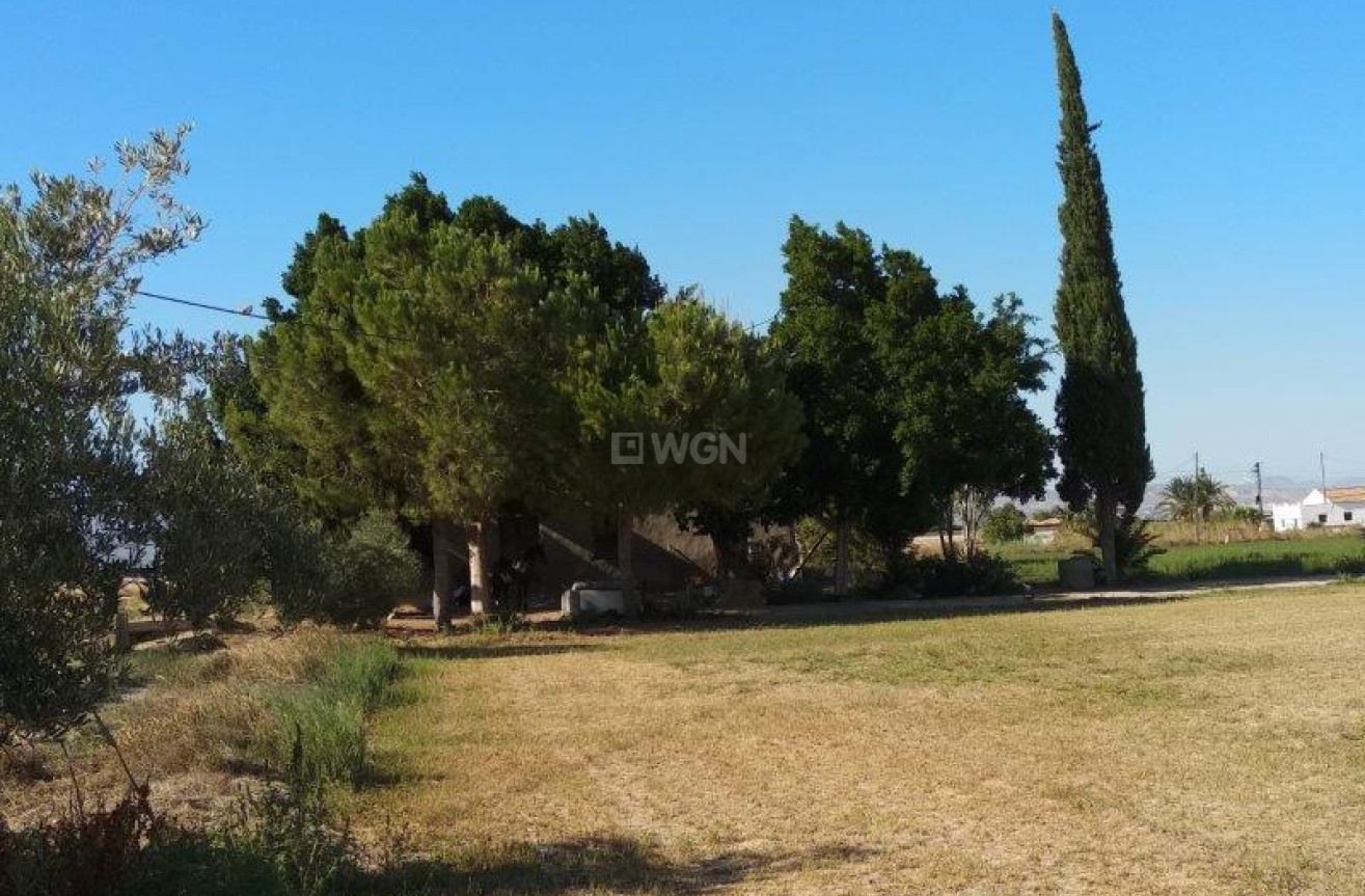 Reventa - Finca - Callosa de Segura - Inland