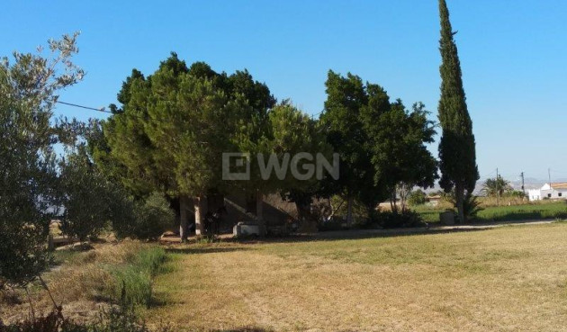 Resale - Finca - Callosa de Segura - Inland