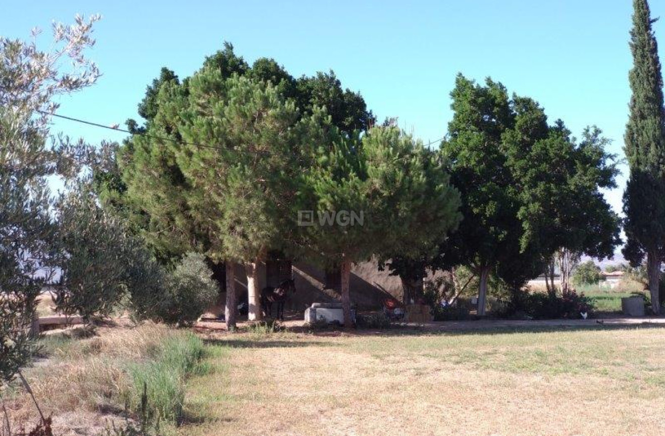 Resale - Finca - Callosa de Segura - Inland