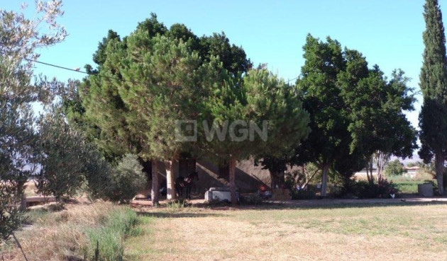 Reventa - Finca - Callosa de Segura - Inland