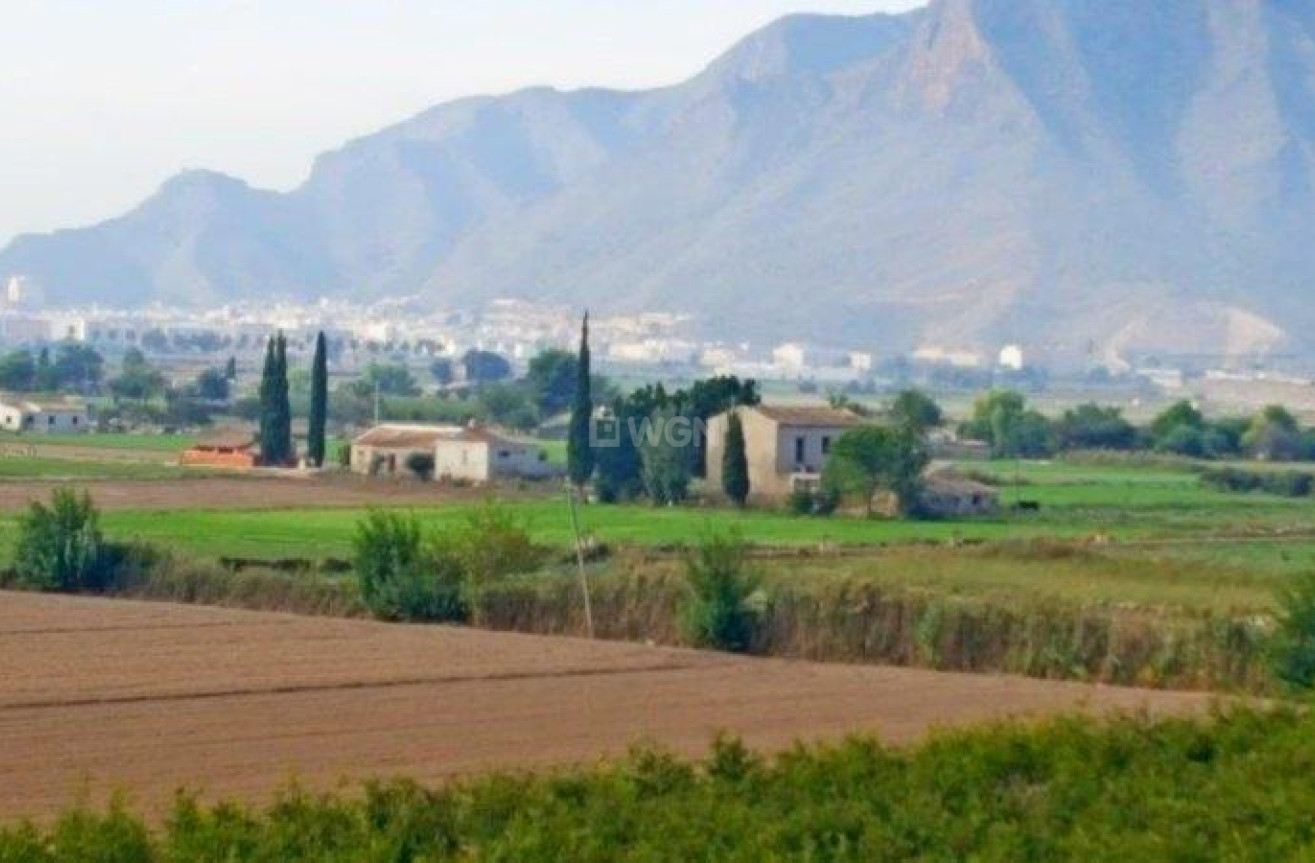 Resale - Finca - Callosa de Segura - Inland