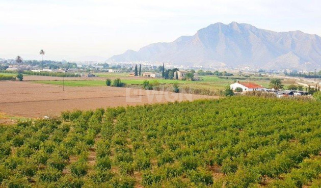 Odsprzedaż - Finca - Callosa de Segura - Inland