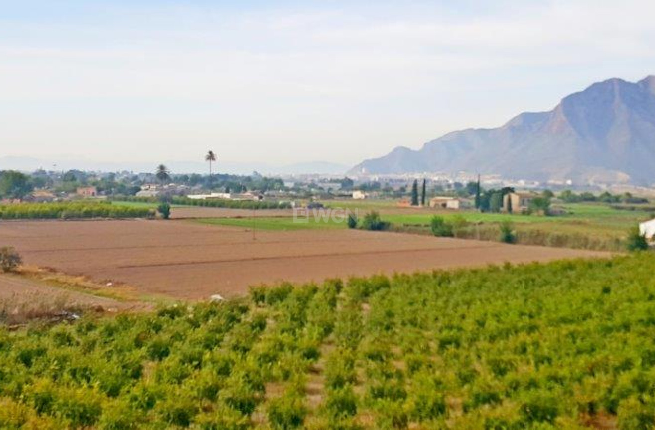 Odsprzedaż - Finca - Callosa de Segura - Inland