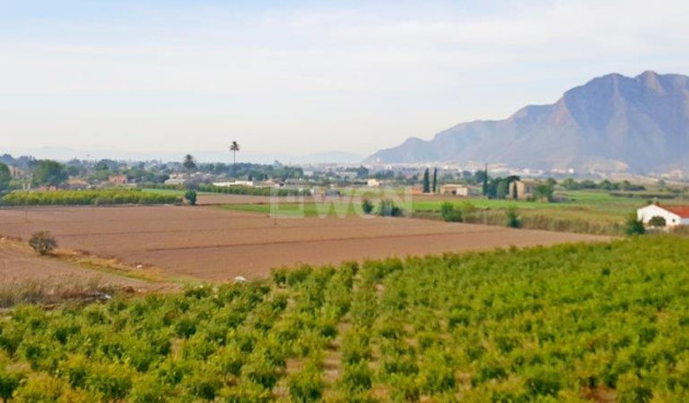 Resale - Finca - Callosa de Segura - Inland