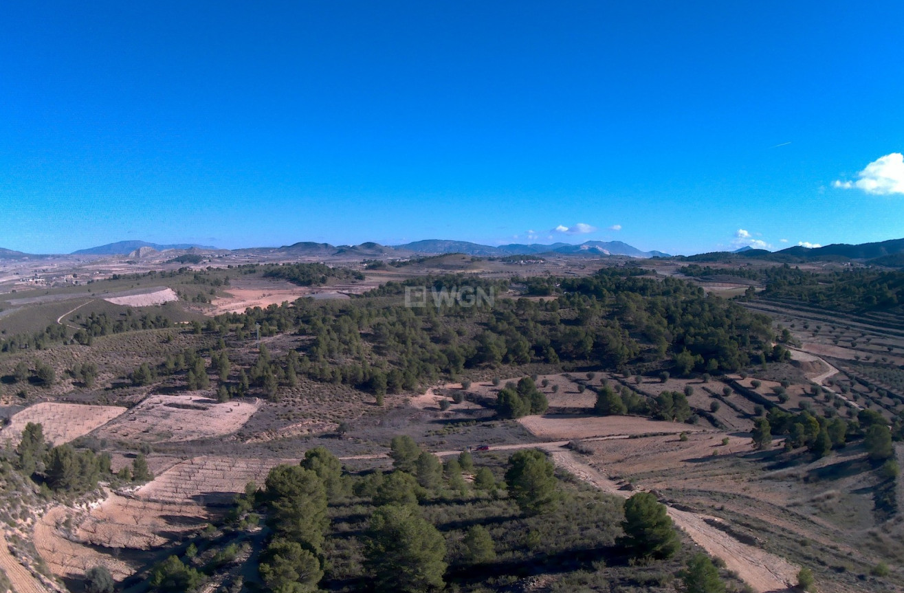 Resale - Land - La Zarza - Inland