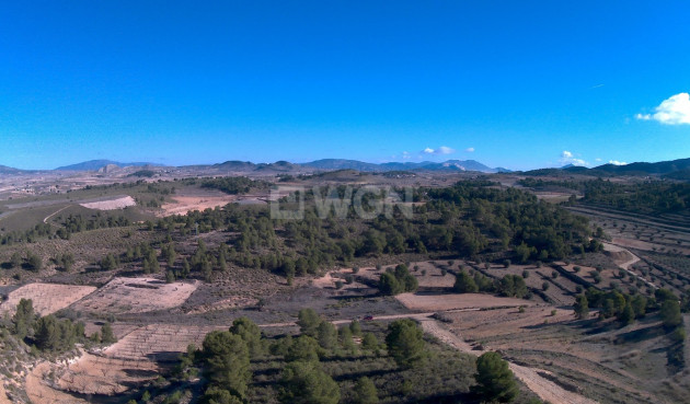 Resale - Land - La Zarza - Inland