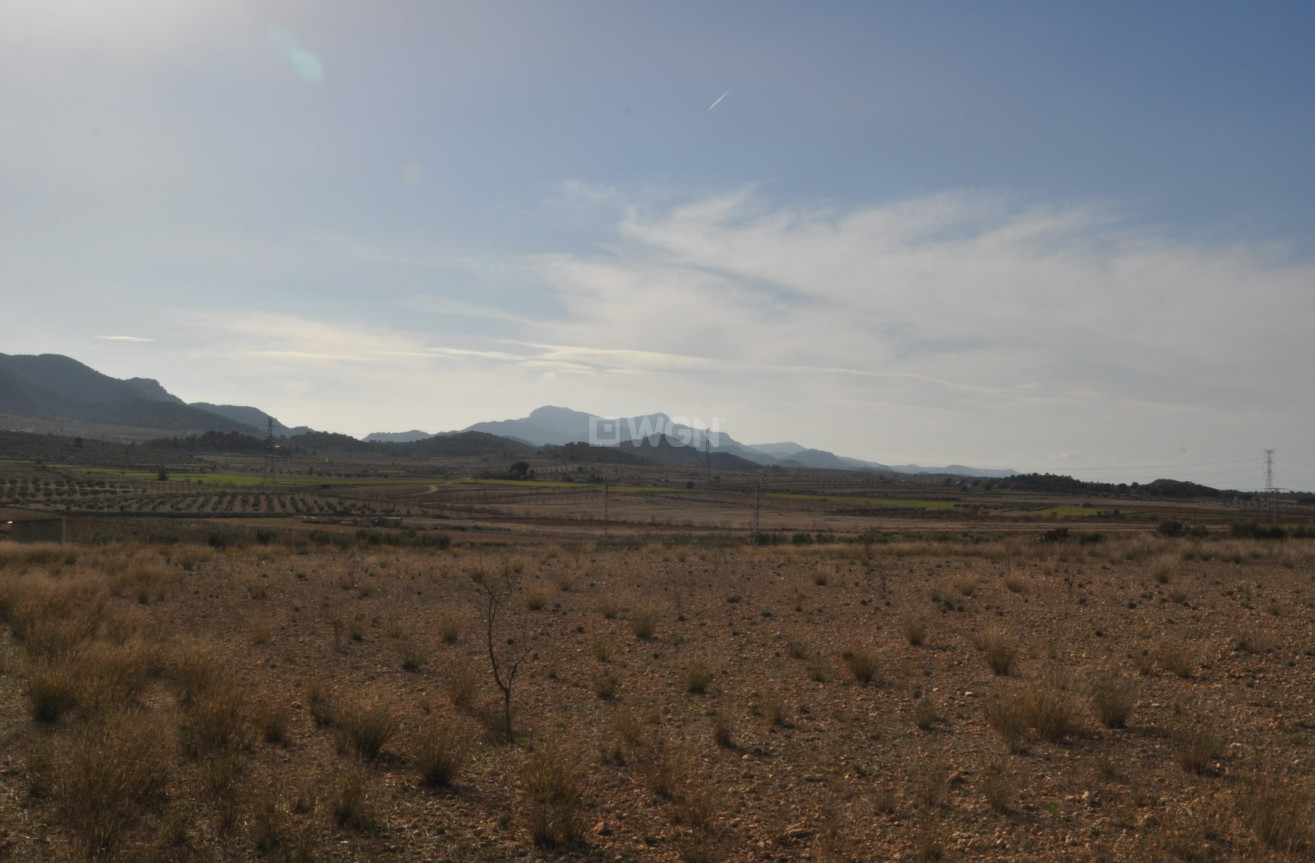 Reventa - Land - Canada del Trigo - Inland